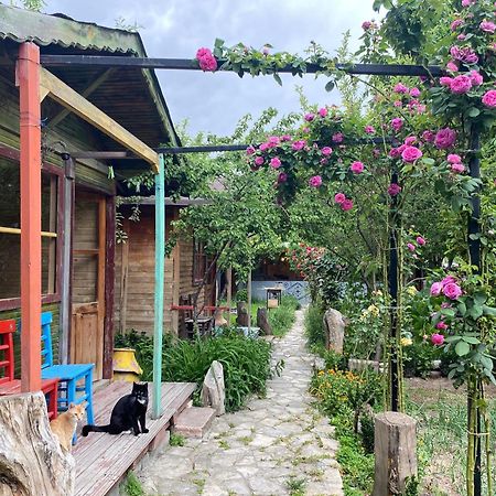 Philosophy Hotel Üçhisar Kültér fotó