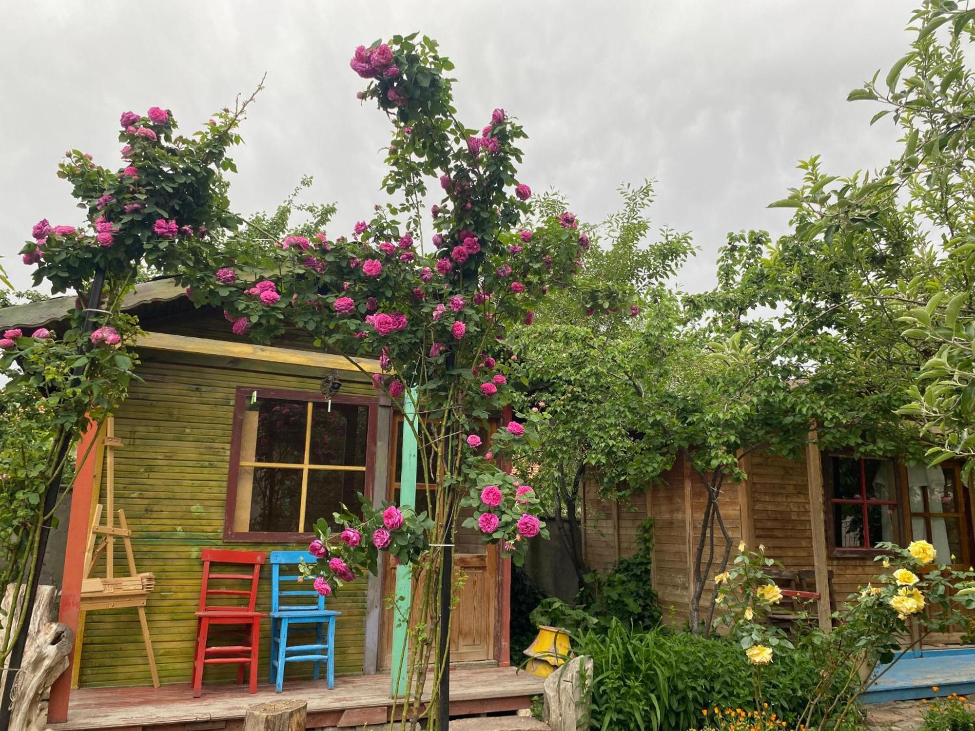 Philosophy Hotel Üçhisar Kültér fotó