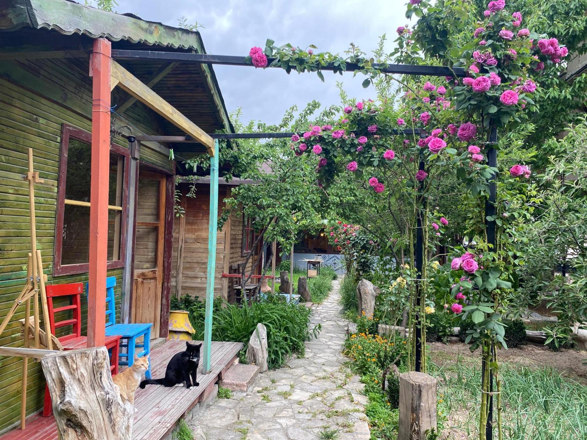 Philosophy Hotel Üçhisar Szoba fotó